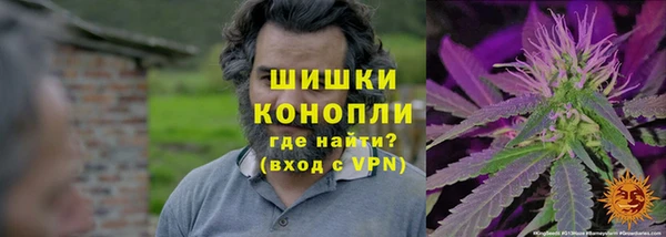дживик Вяземский