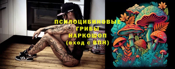 шишки Михайлов